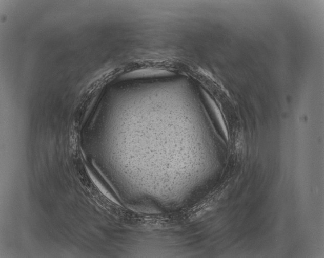 X0000082681350200702091622