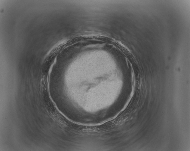 X0000082681351200702091622