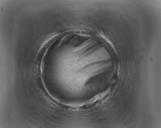 X0000082681352200702091622