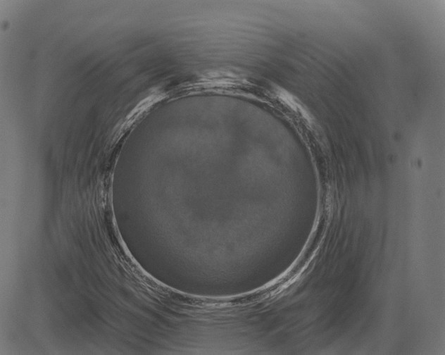 X0000082681353200702091622