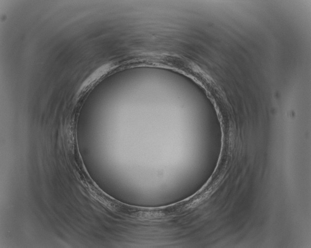 X0000082681354200702091622