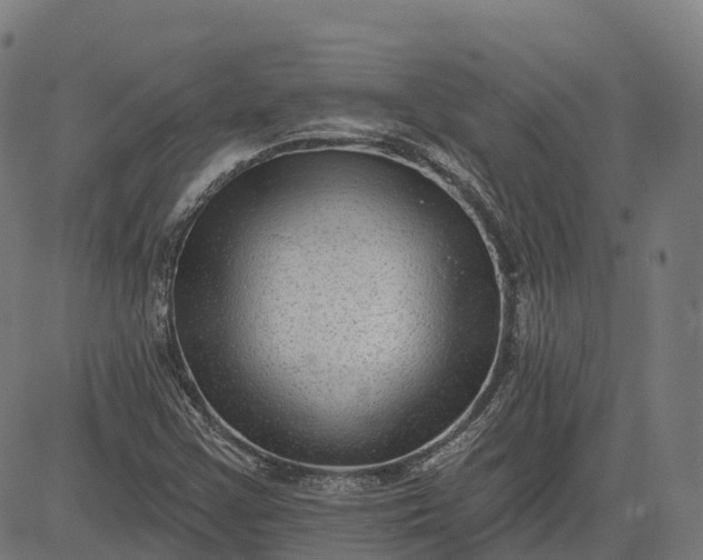 X0000082681355200702091622