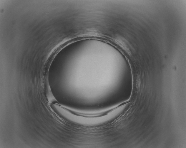 X0000082681356200702091622