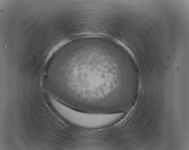 X0000082681357200702091622