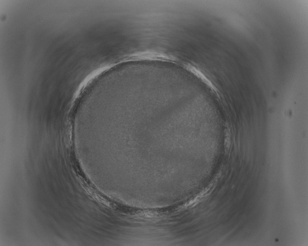 X0000082681358200702091622