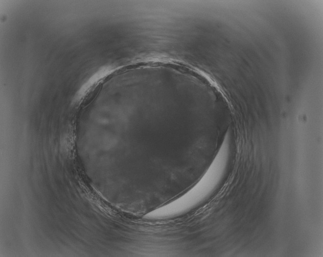 X0000082681359200702091622