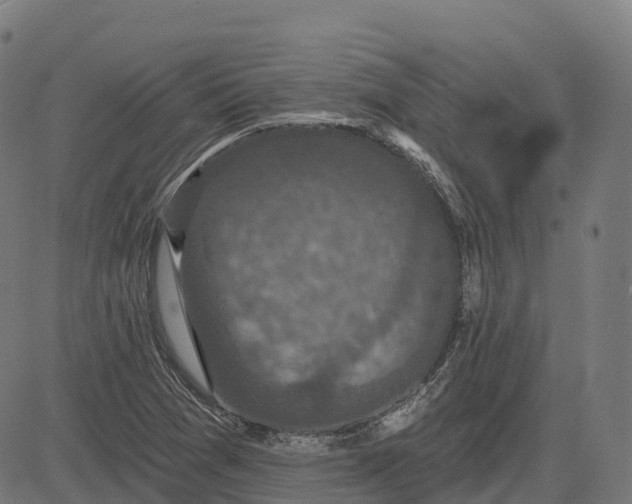 X0000082681361200702091622