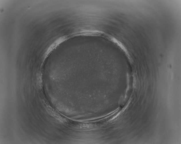 X0000082681362200702091622