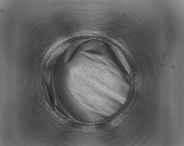 X0000082681363200702091622