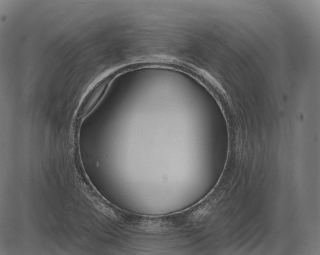 X0000082681364200702091622