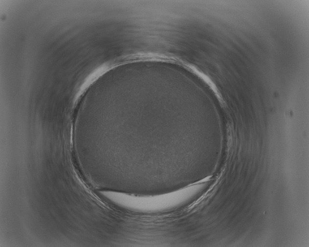 X0000082681365200702091622