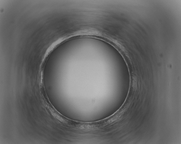 X0000082681366200702091622