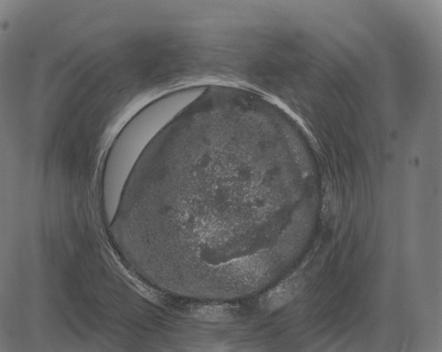 X0000082681367200702091622