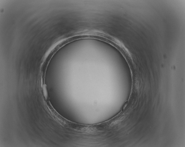 X0000082681368200702091622