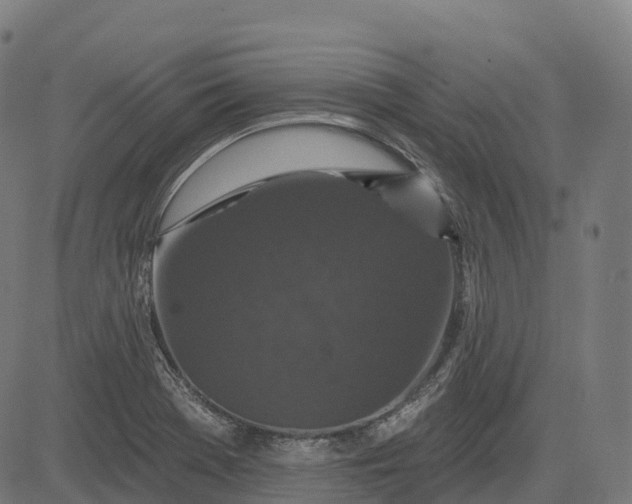 X0000082681369200702091622