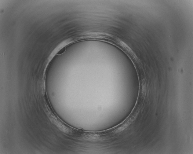 X0000082681370200702091622