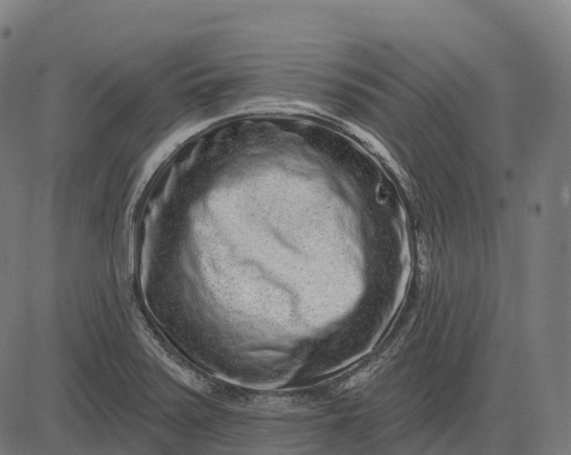 X0000082681371200702091621