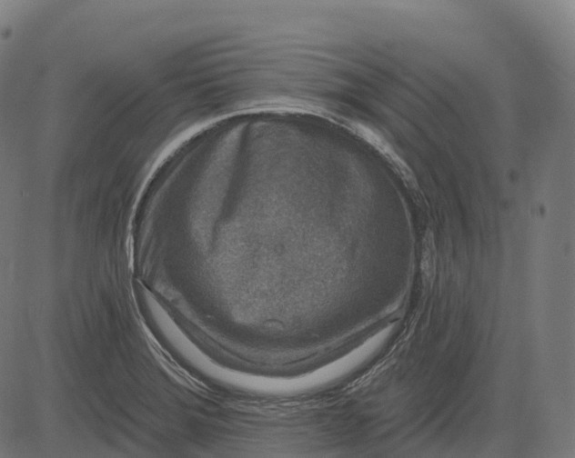 X0000082681372200702091621