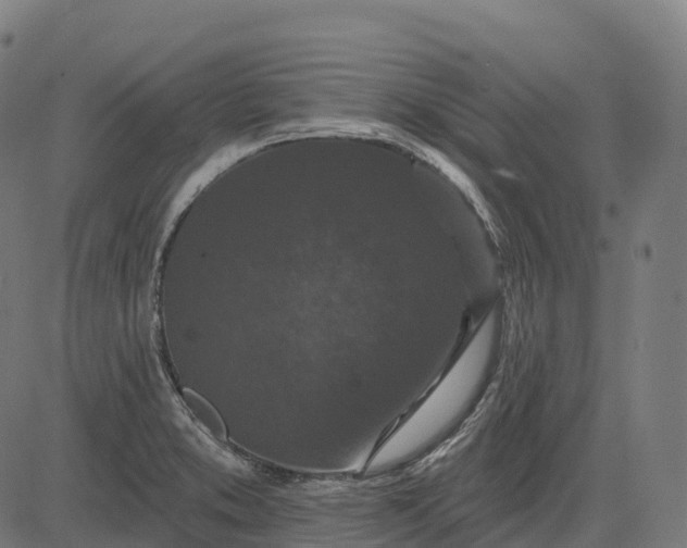 X0000082681373200702091621