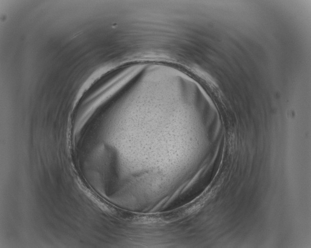 X0000082681374200702091621