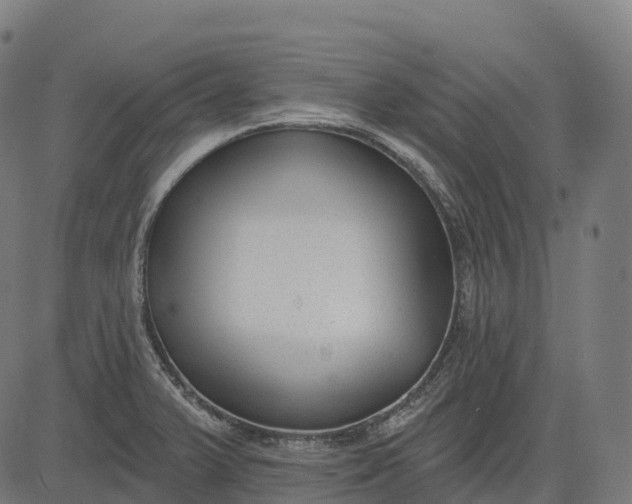 X0000082681375200702091621