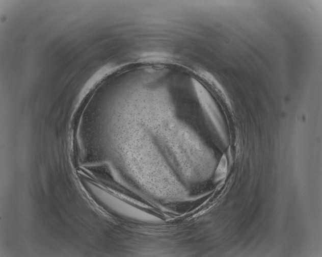 X0000082681376200702091621