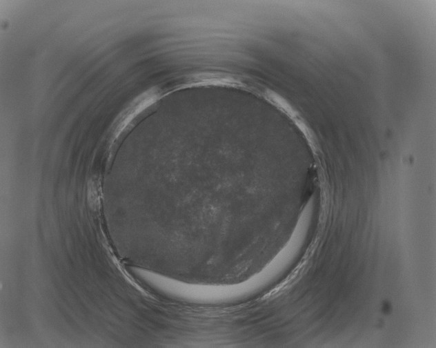 X0000082681377200702091621