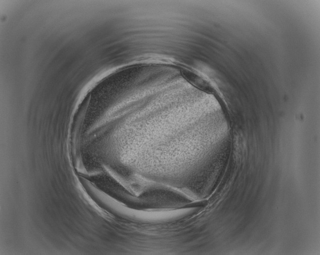 X0000082681379200702091621