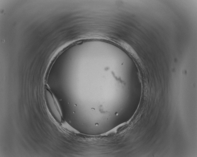 X0000082681380200702091621