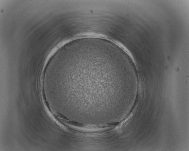 X0000082681381200702091621