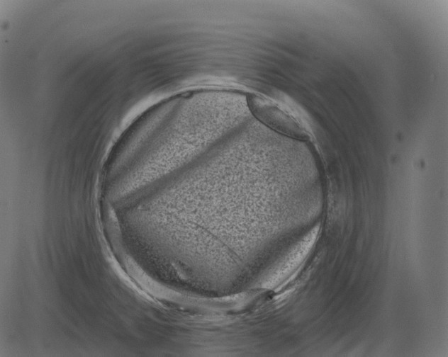 X0000082681382200702091621