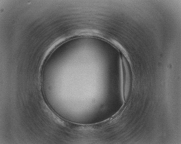 X0000082681384200702091621