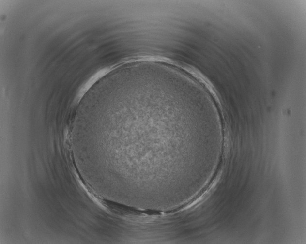 X0000082681385200702091621