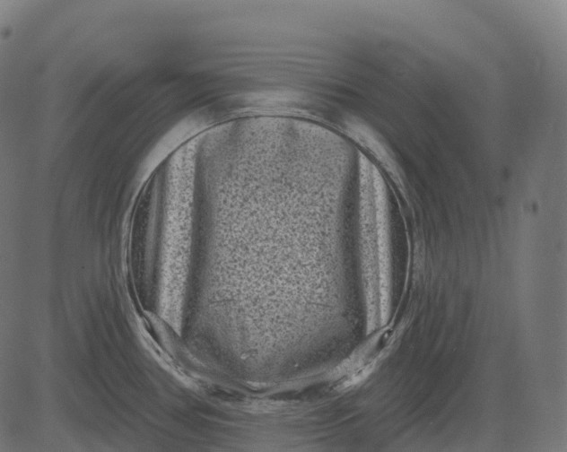 X0000082681386200702091621