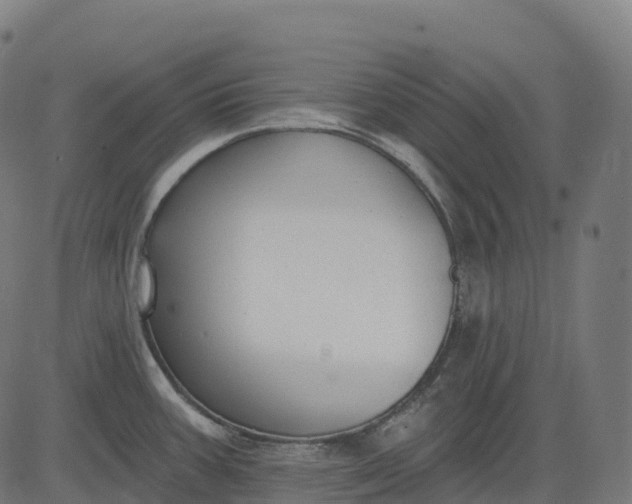 X0000082681387200702091621