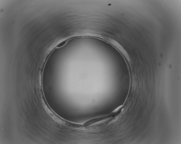 X0000082681388200702091621