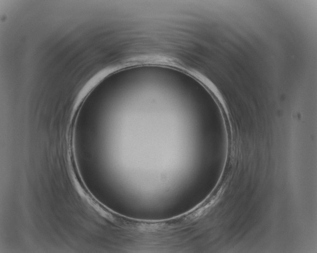 X0000082681389200702091621