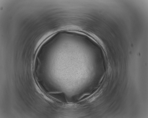 X0000082681390200702091621