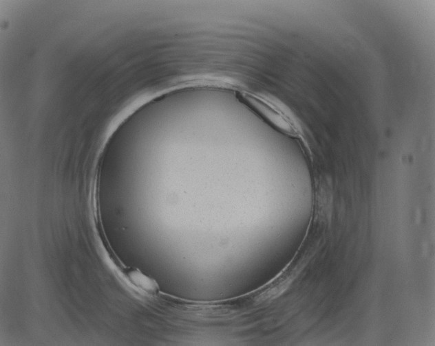 X0000082681391200702091621