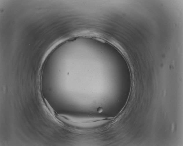 X0000082681392200702091621