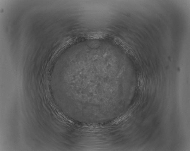 X0000082681393200702091620