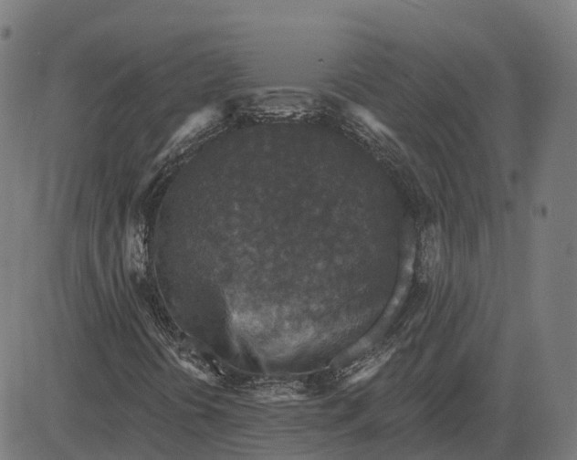 X0000082681394200702091620