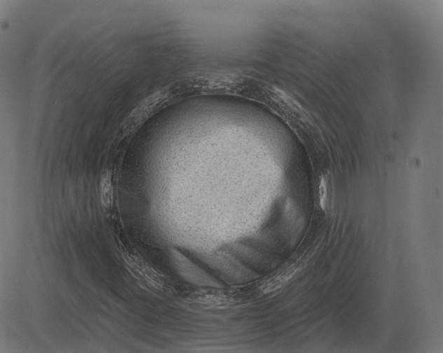 X0000082681395200702091620