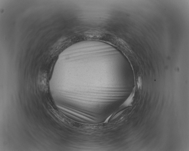 X0000082681396200702091620