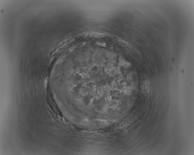 X0000082681397200702091620