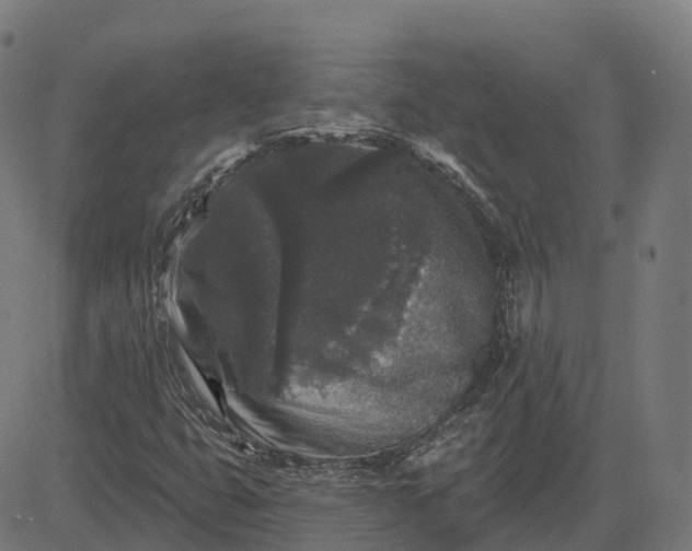 X0000082681399200702091620