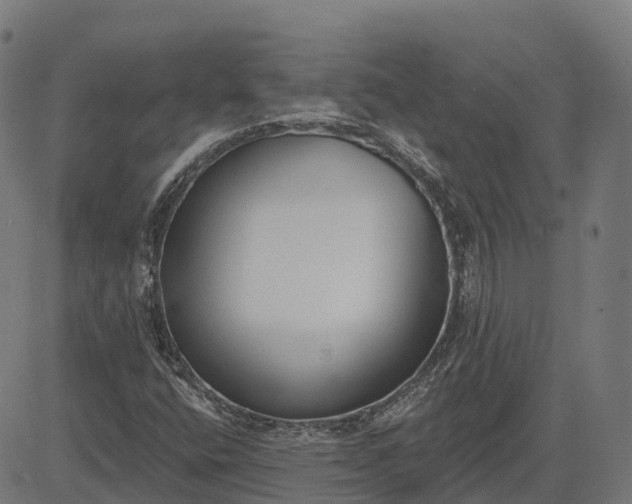 X0000082681400200702091620