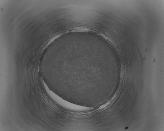 X0000082681401200702091620