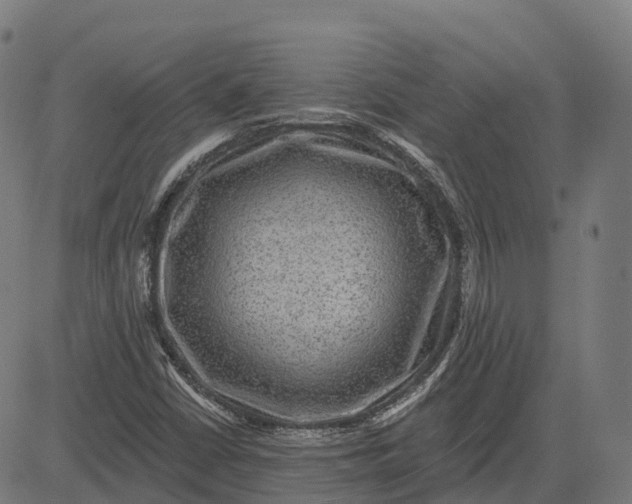 X0000082681402200702091621