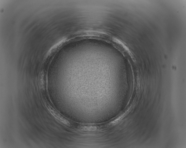 X0000082681403200702091621